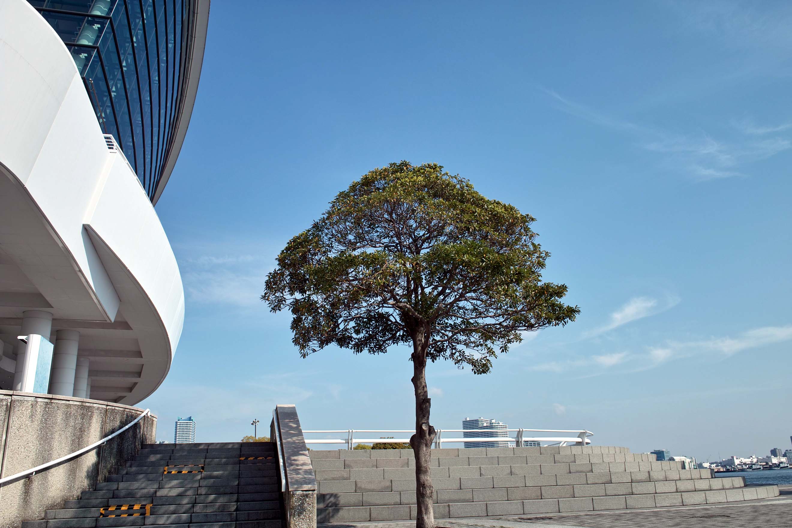 yokohama2