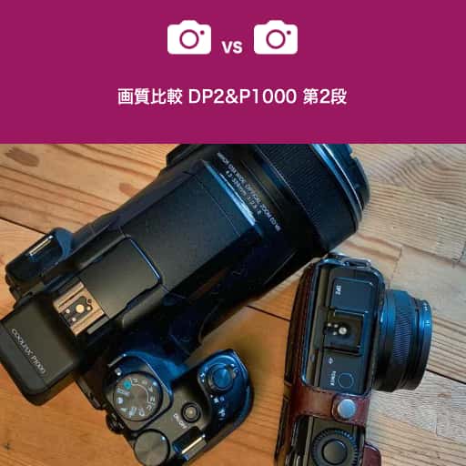 vs_dp2_p1000_2