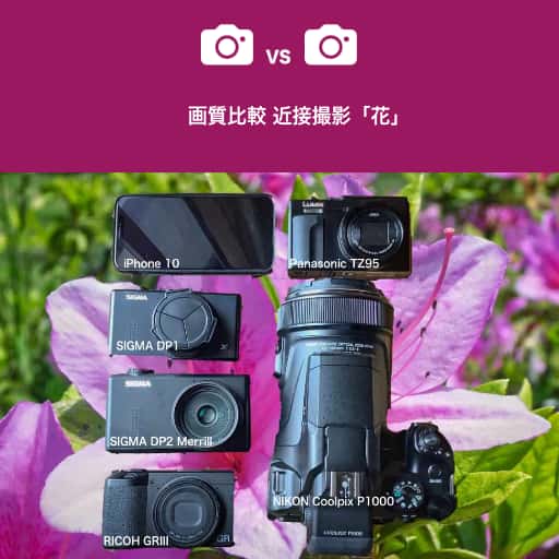 vs_flower