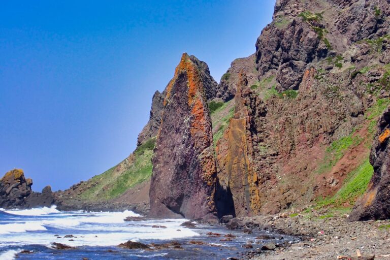 礼文島