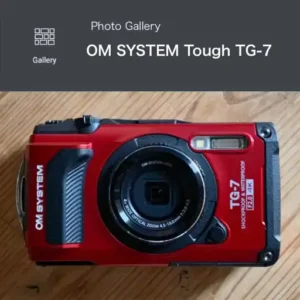 tg7_gallery
