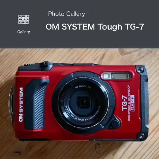 tg7_gallery
